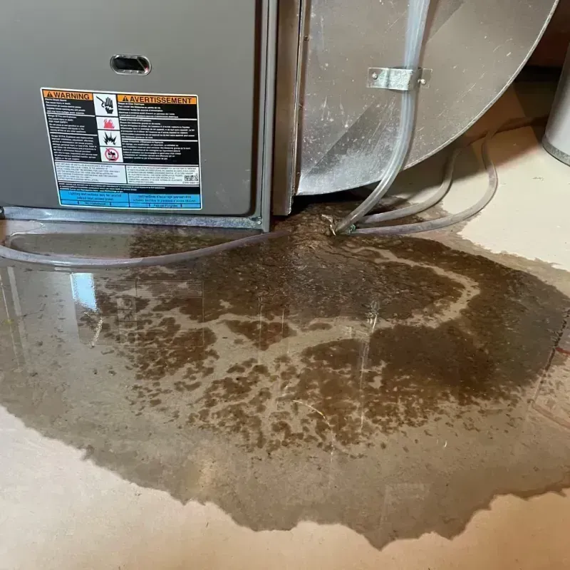 Appliance Leak Cleanup in Sainte Genevieve County, MO